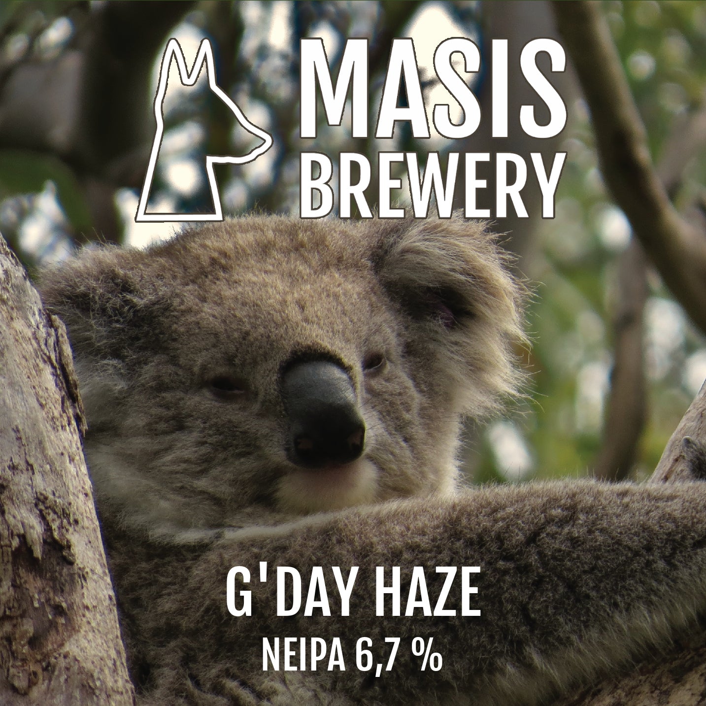 G'Day Haze